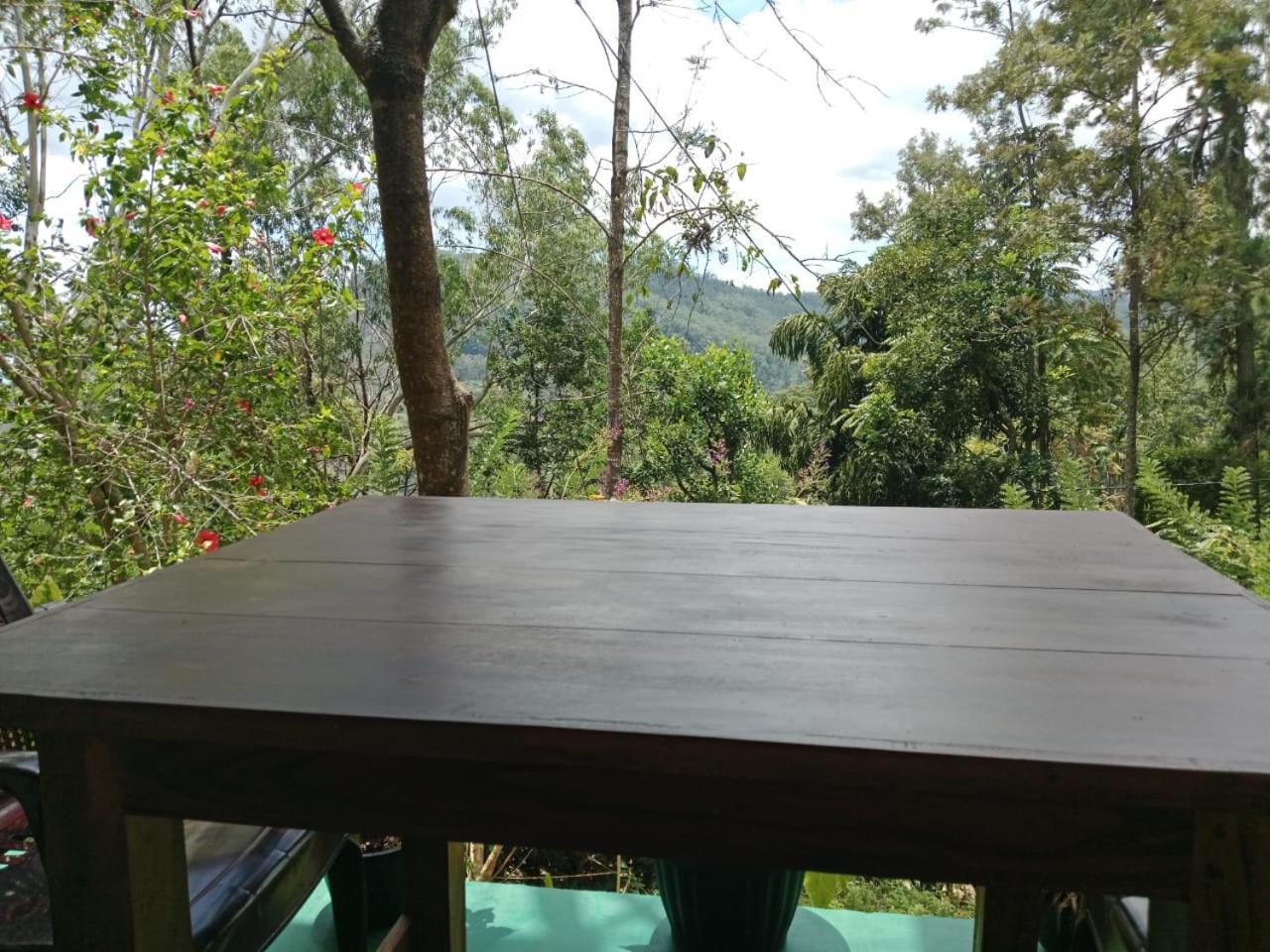 "Mount'N Mist" Apartman Ella Kültér fotó
