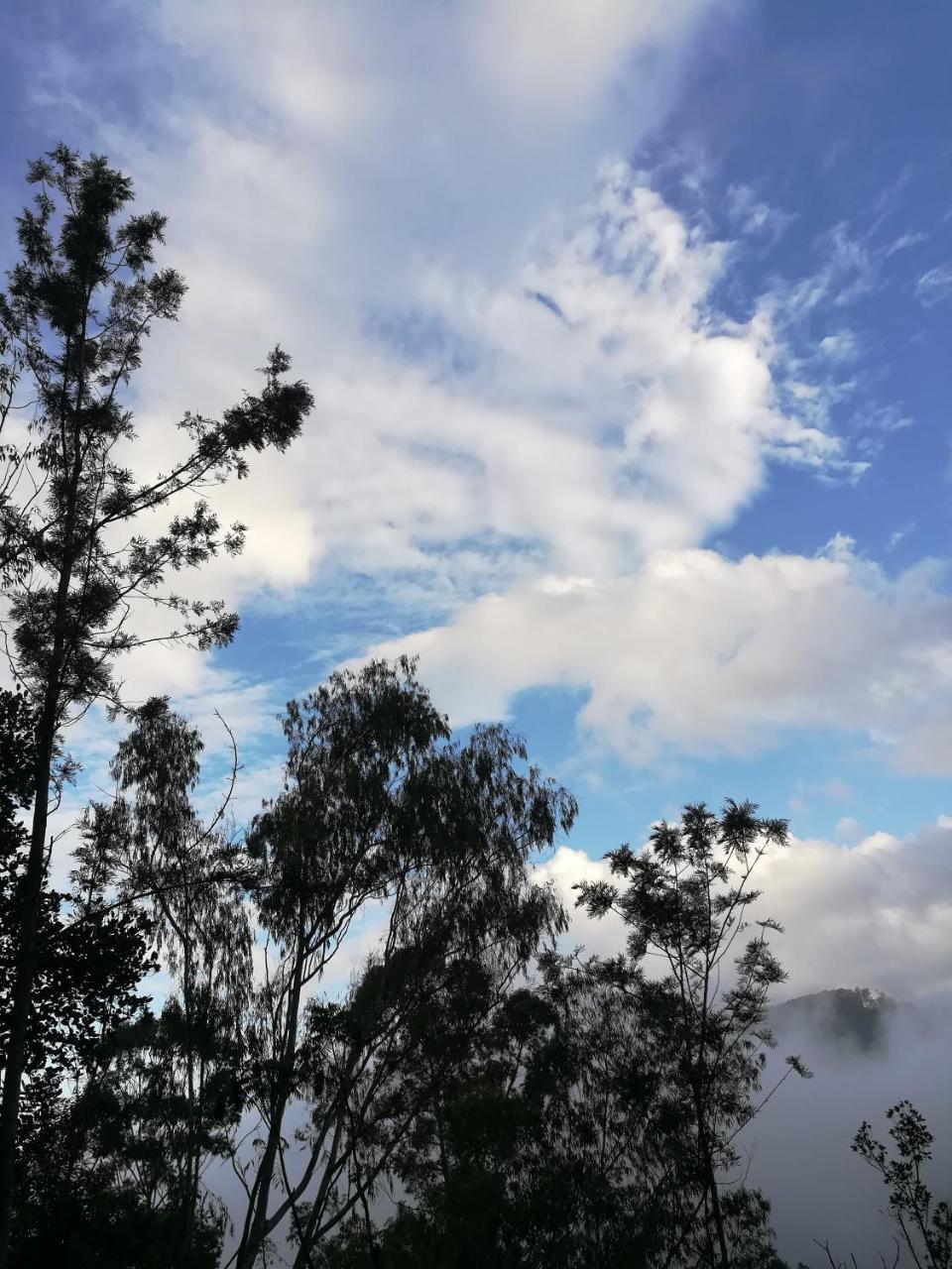"Mount'N Mist" Apartman Ella Kültér fotó