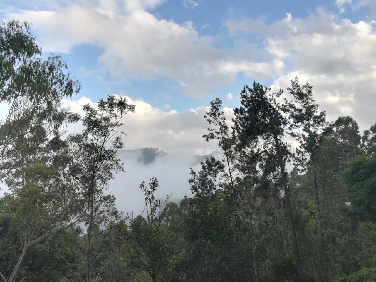 "Mount'N Mist" Apartman Ella Kültér fotó