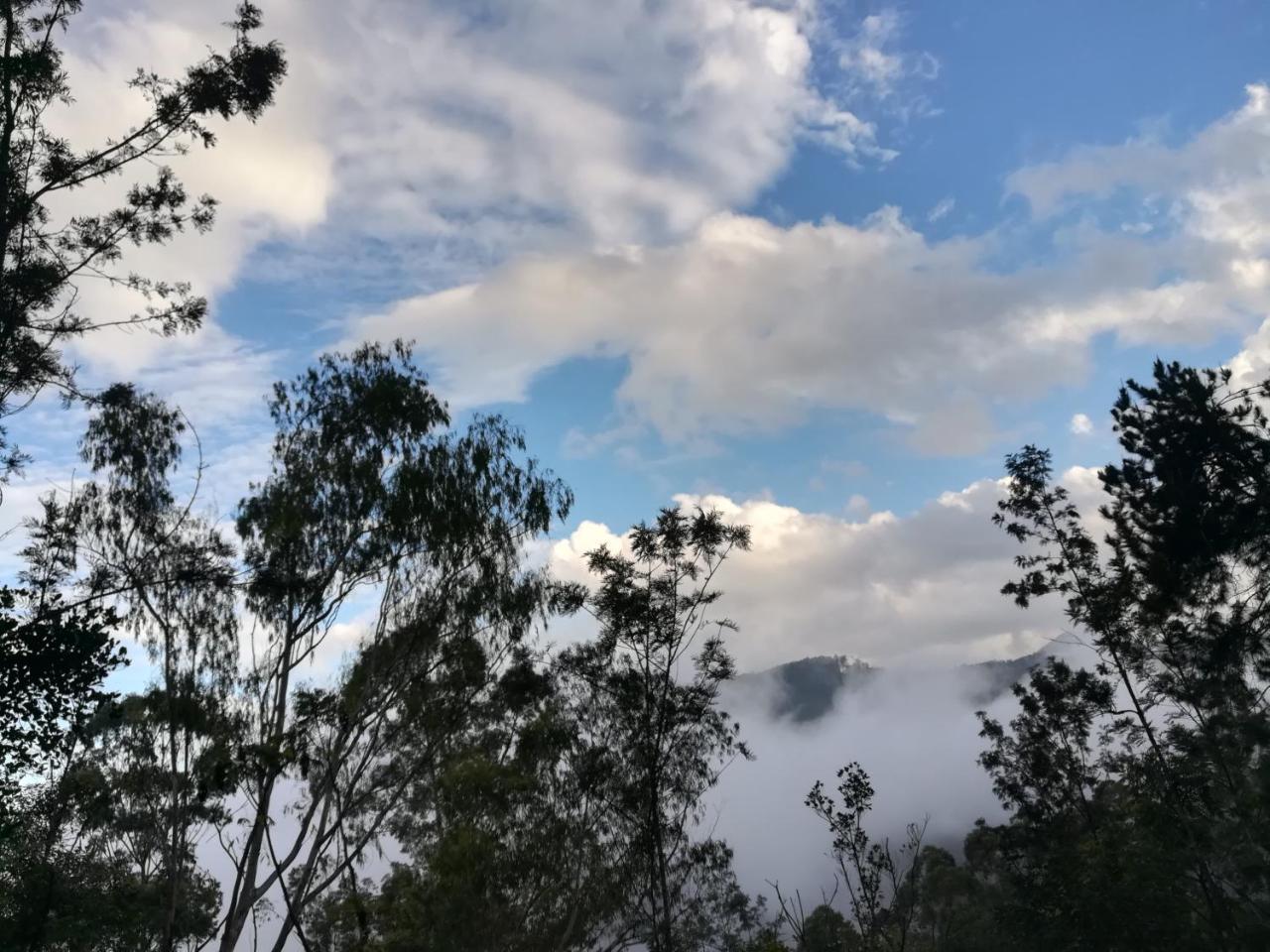 "Mount'N Mist" Apartman Ella Kültér fotó