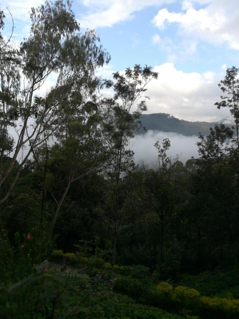 "Mount'N Mist" Apartman Ella Kültér fotó