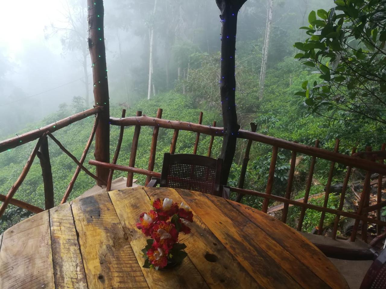 "Mount'N Mist" Apartman Ella Kültér fotó